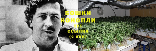 кокаин премиум Беломорск